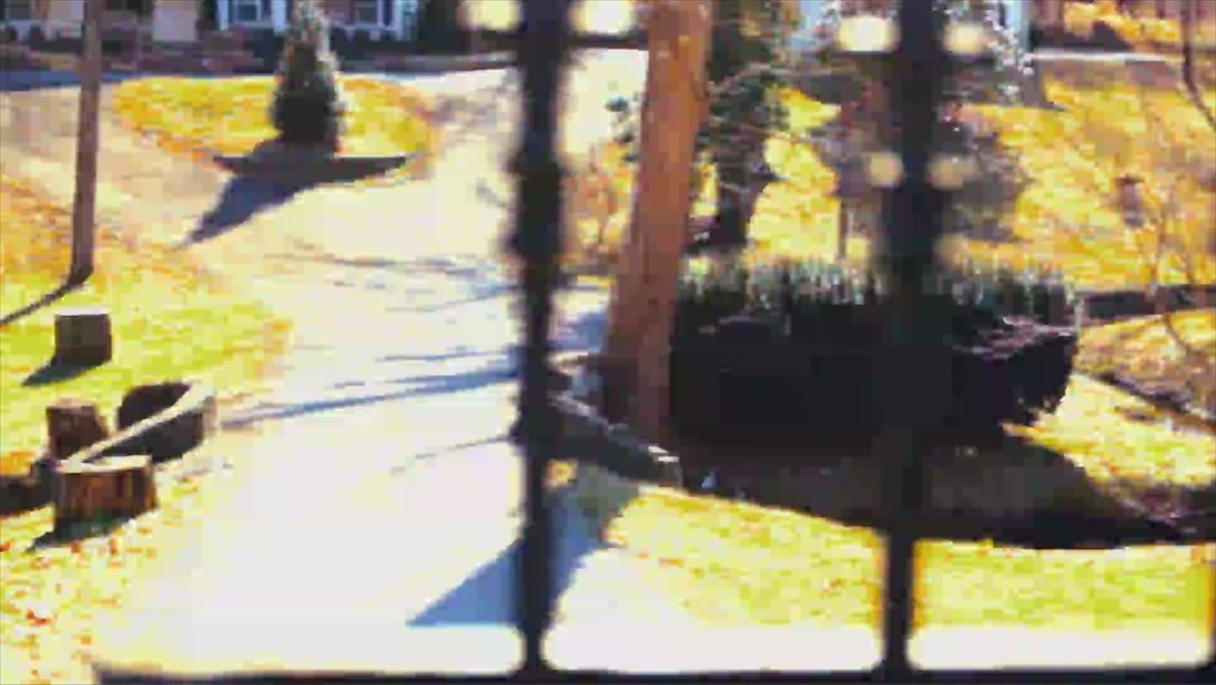 Killer Couples Sneak Peek 510: Susie Newsom and Fritz Klenner, Part 2 Killer Couples Sneak Peek 510: Susie Newsom and Fritz Klenner, Part 2